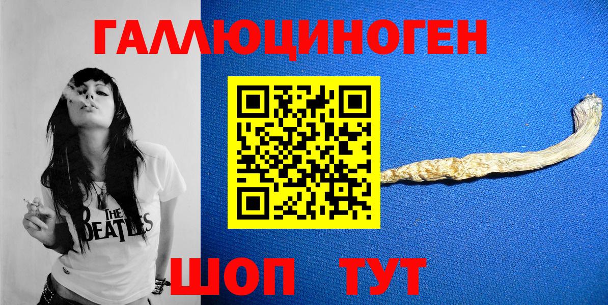 Моздок  Галлюциногенные грибы Psilocybine cubensis  Галлюциногенные грибы прущие грибы  Вход с VPN 
